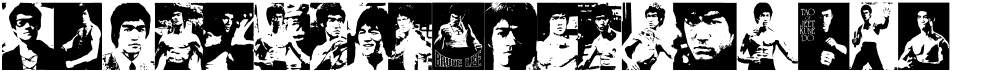 preview image of the Bruce Lee font