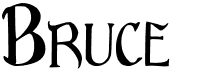 preview image of the Bruce font