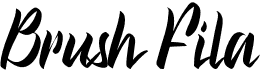 preview image of the Brush Fila font