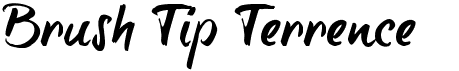 preview image of the Brush Tip Terrence font