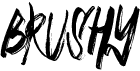 preview image of the Brushy font