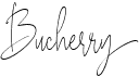 preview image of the Bucherry font