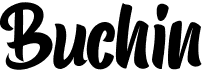 preview image of the Buchin font