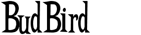 preview image of the BudBird font
