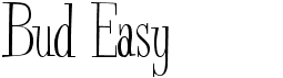 preview image of the Bud Easy font