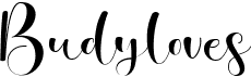 preview image of the Budyloves font