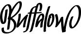 preview image of the Buffalow font