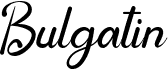 preview image of the Bulgatin font