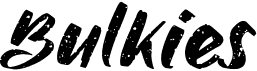 preview image of the Bulkies font