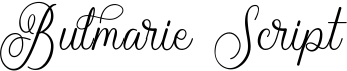 preview image of the Bulmarie Script font