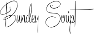 preview image of the Bundey Script font