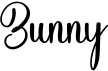 preview image of the Bunny font