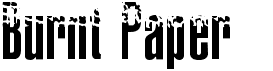 preview image of the Burnt Paper font