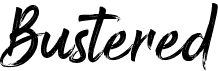 preview image of the Bustered font