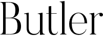 preview image of the Butler font