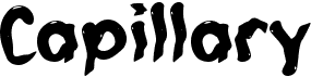 preview image of the c Capillary font
