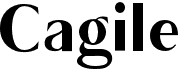 preview image of the Cagile font