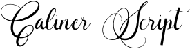 preview image of the Caliner Script font