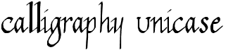 preview image of the Calligraphy Unicase font