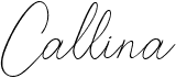preview image of the Callina font