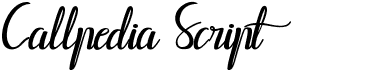 preview image of the Callpedia Script font
