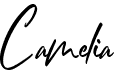 preview image of the Camelia font