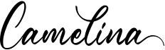 preview image of the Camelina font