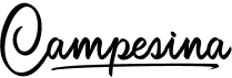preview image of the Campesina font