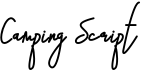 preview image of the Camping Script font