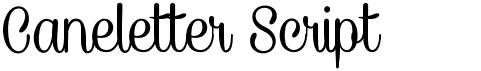 preview image of the Caneletter Script font