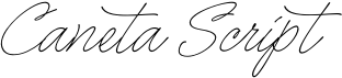 preview image of the Caneta Script font