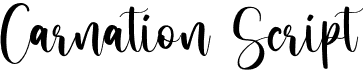 preview image of the Carnation Script font