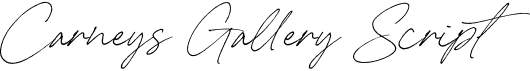 preview image of the Carneys Gallery Script font