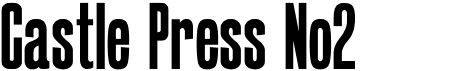 preview image of the Castle Press No2 font