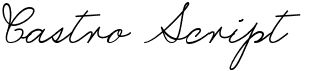 preview image of the Castro Script font
