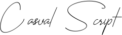 preview image of the Casual Script font