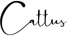 preview image of the Cattus font