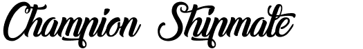 preview image of the Champion Shipmate font