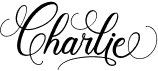preview image of the Charlie font