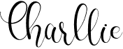 preview image of the Charllie font