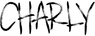 preview image of the Charly font