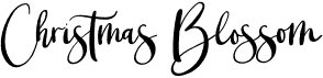 preview image of the Christmas Blossom font