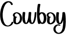 preview image of the Cowboy font