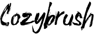 preview image of the Cozybrush font