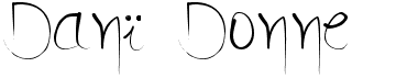 preview image of the Danï Donne font