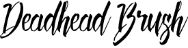 preview image of the Deadhead Brush font