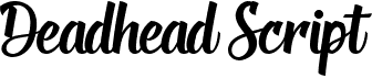 preview image of the Deadhead Script font