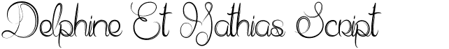 preview image of the Delphine Et Mathias Script font