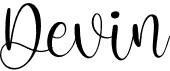 preview image of the Devin font