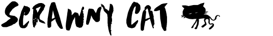 preview image of the DK Scrawny Cat font
